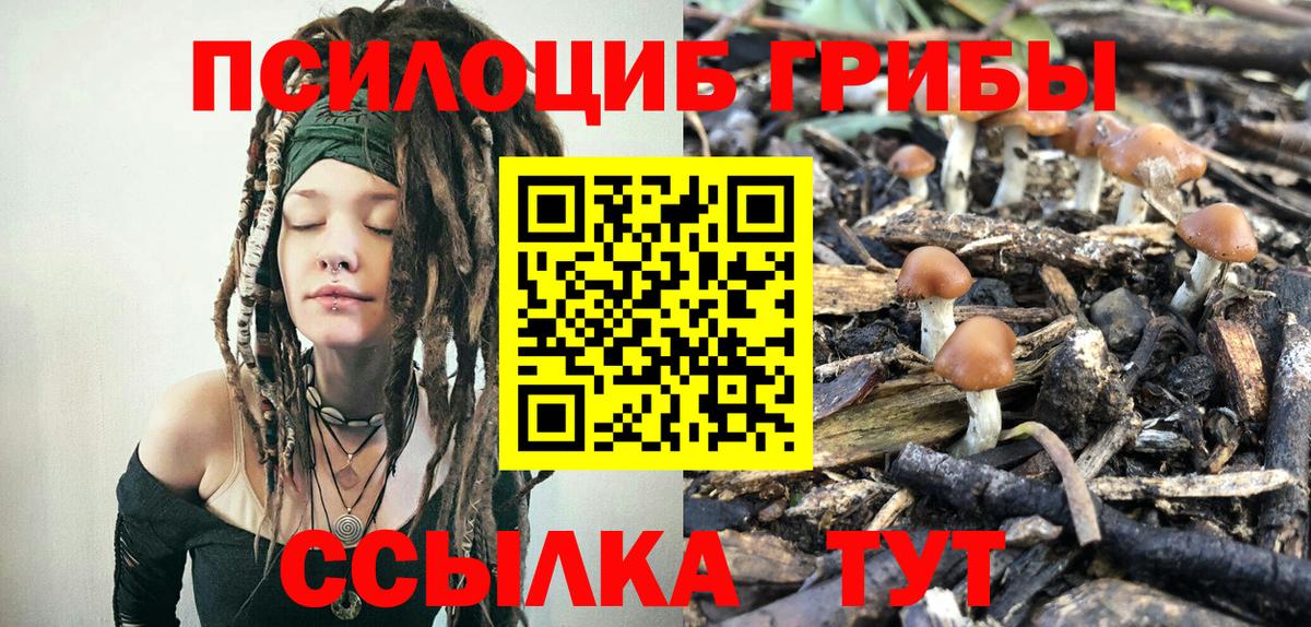 Галлюциногенные грибы мухоморы Краснодар